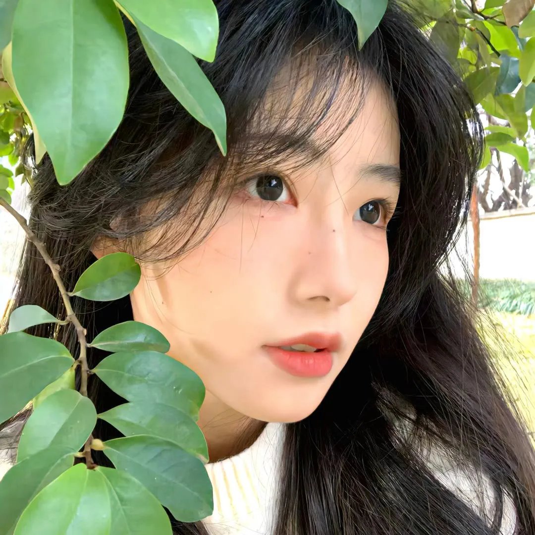 最后的猿人
