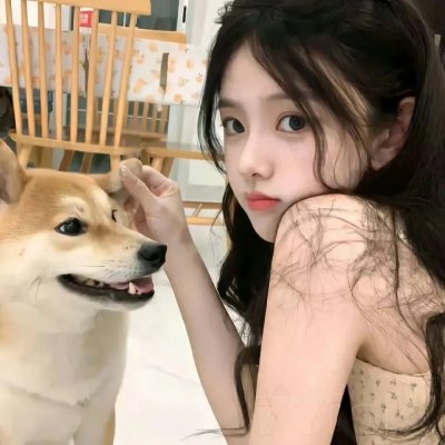 婉君表妹